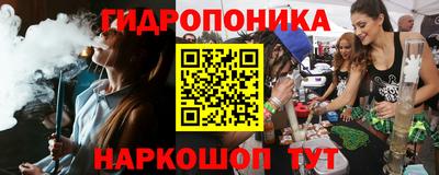 стафф Донской
