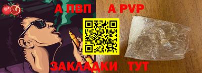 стафф Донской