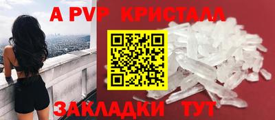 стафф Донской