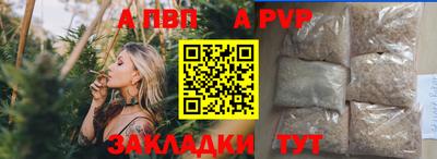 стафф Донской